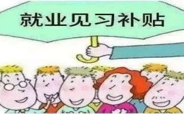 见习心得体会范文5篇