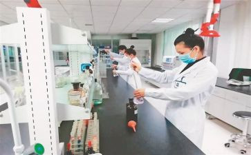 检验工作总结个人总结模板8篇