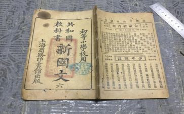 2024幼教科工作总结报告5篇