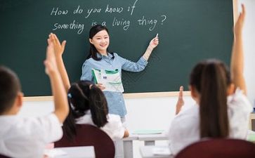 教师编年度个人总结最新8篇