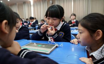 教学设计方案模板8篇