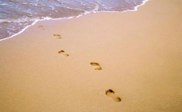 春的脚印作文优质6篇