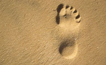 春的脚印作文模板5篇