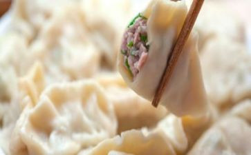 春节吃饺子作文参考6篇