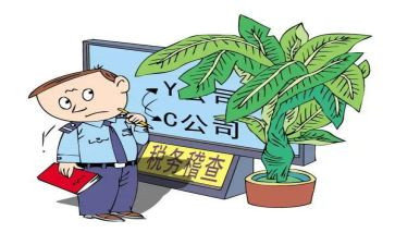 2024稽查工作总结参考6篇