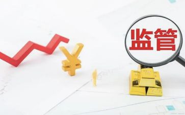 2024税务稽查工作总结6篇