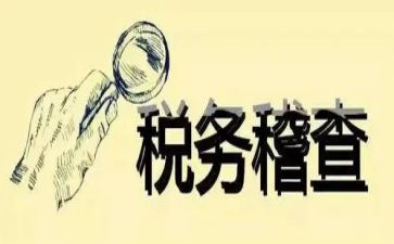 税务稽查员工作总结8篇