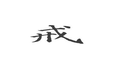 以案为戒警示教育心得体会优质5篇