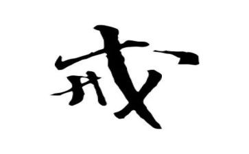 以案为戒警示教育心得体会最新8篇