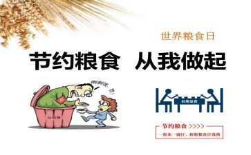 青春节粮活动总结7篇