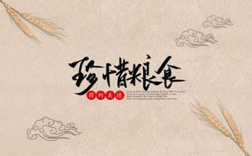 青春节粮心得体会6篇