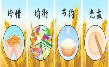 青春节粮心得体会模板8篇