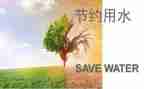 节约活动教案8篇