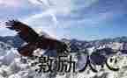 高二激励的演讲稿8篇