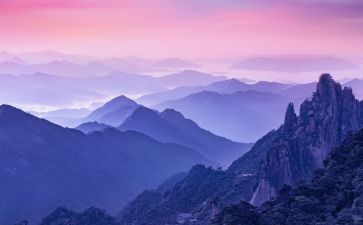 校园风景类作文优秀5篇