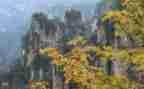 写景优秀作文300字8篇
