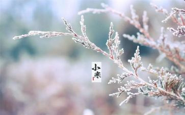 24节气的心得体会5篇