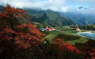 2023年景区保安工作总结6篇