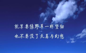 志愿者的精神和心得体会8篇