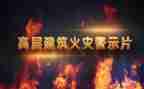 警示片心得体会警察8篇