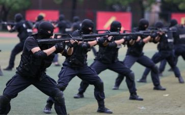 警务辅助个人总结7篇