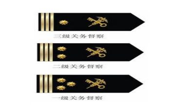 2023年警衔培训心得体会6篇