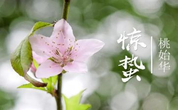 惊蛰二十四节气教案5篇