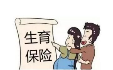 计生员个人总结5篇