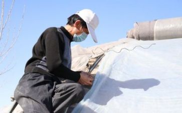 专业技术岗工作总结8篇