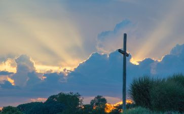 救赎的观后感模板6篇