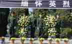 清明祭英烈的演讲稿300模板8篇