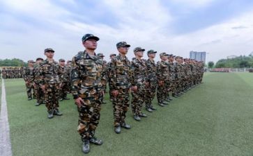 军训心得体会总结100通用5篇