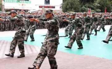 军训的心得体会2000字6篇