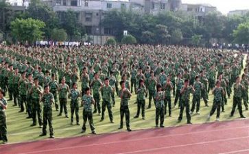 观军训心得体会800精选7篇
