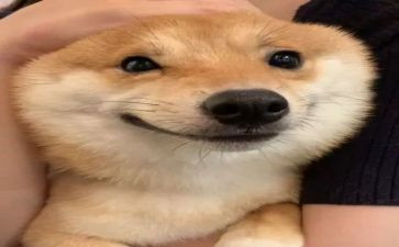 开心的笑作文200字7篇