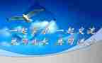 课改体会和心得优秀5篇