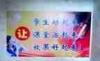 小学教师课改心得体会8篇