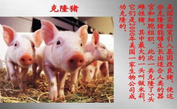 作文克隆的我400字5篇