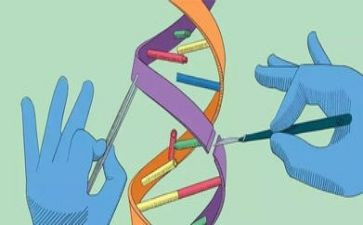 教师科学营心得体会5篇
