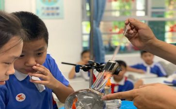 听小学科学课心得体会参考8篇