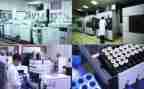 科研岗工作计划最新5篇