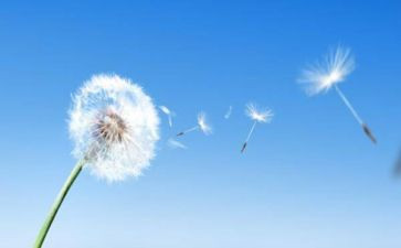 空气的教学反思教学反思5篇