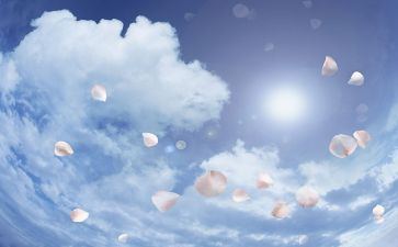 空气调查报告范文6篇