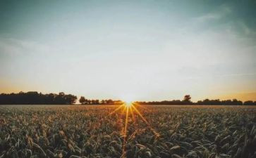 苦与乐演讲稿300字推荐6篇