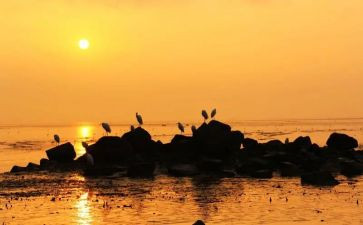 苦与乐演讲稿300字精选7篇