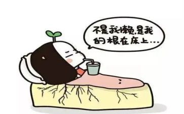 勤蚂蚁与懒蚂蚁演讲稿5篇