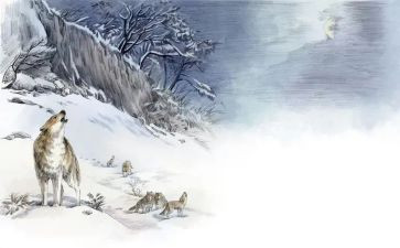 狼王梦的,读后感精选6篇
