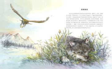 写《狼王梦》的读后感推荐7篇