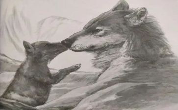 《狼王梦》的心得优秀7篇