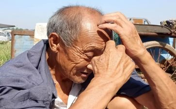 重阳节慰问老人活动策划7篇